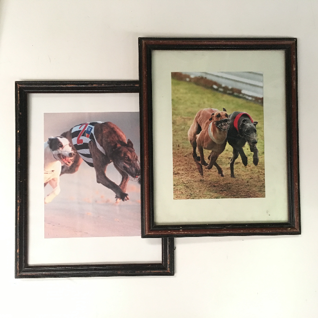 ARTWORK, Sport or Clubroom - Dog Racing